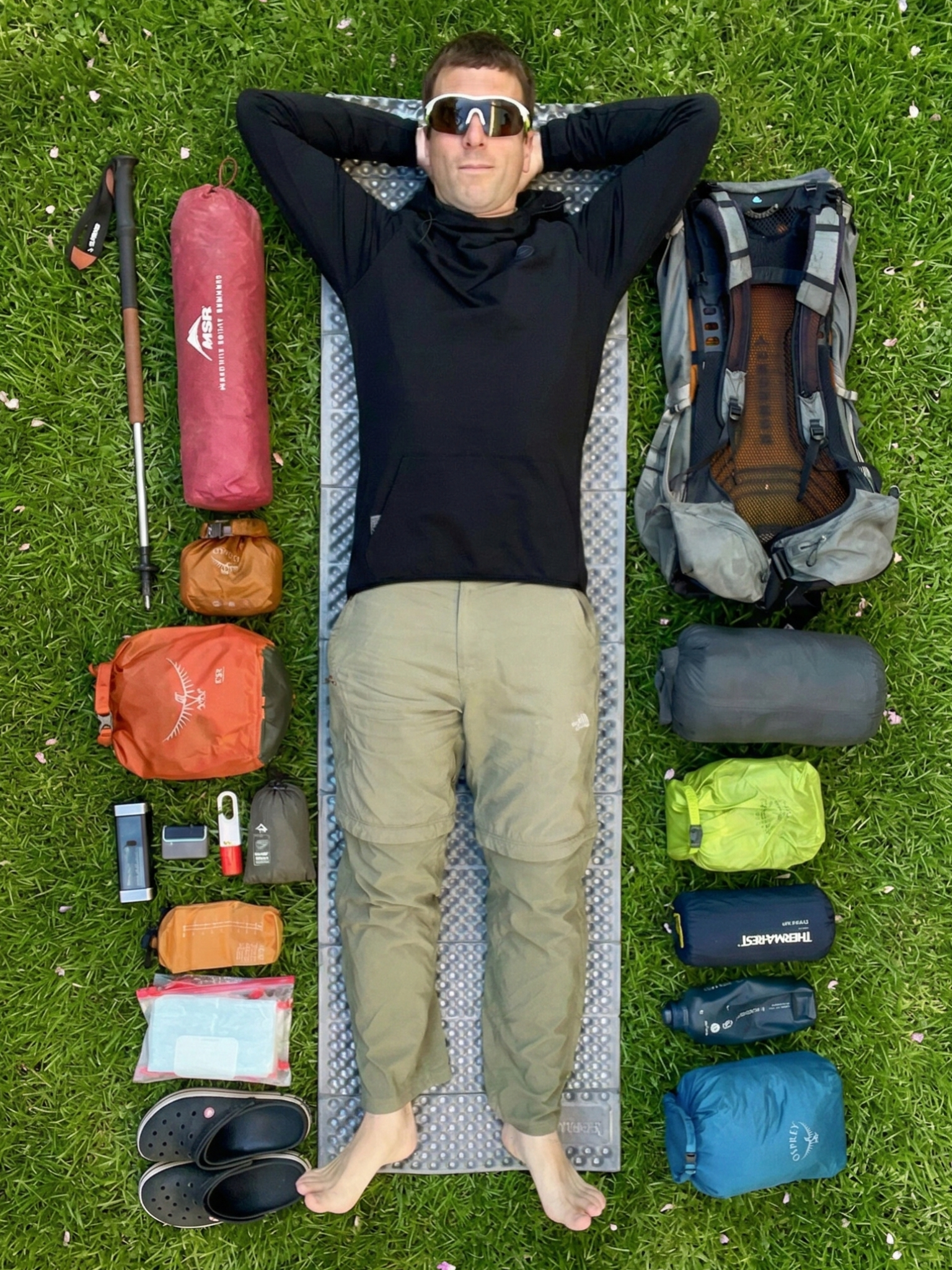 Eli del Pirineu en montaña